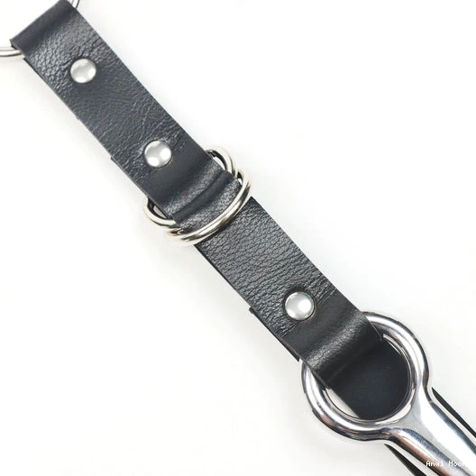 EverydayUse Collar 5853 Leash Hook and Kinky with Anal 0808